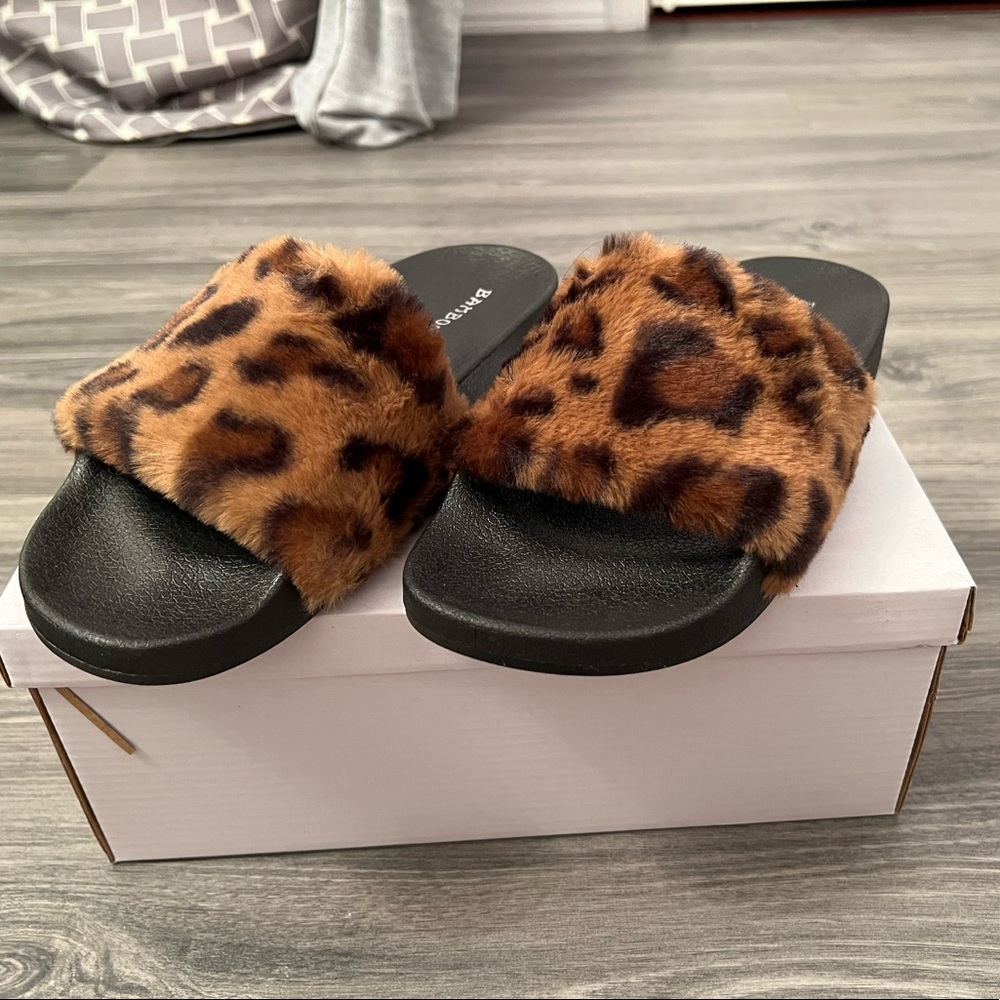 Cheetah slides